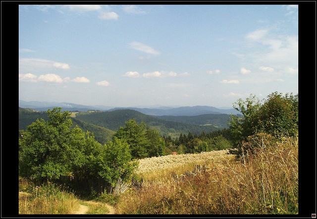 img00007.jpg